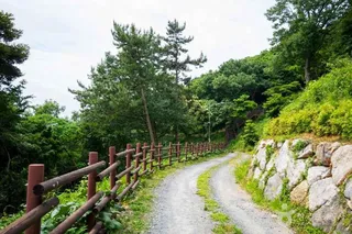 약산 해안 치유의 숲