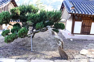 영암 수성사