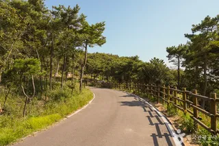 국립무의도자연휴양림