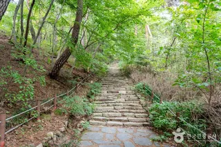 개심사 가는 길