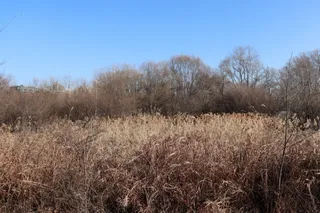 일월공원