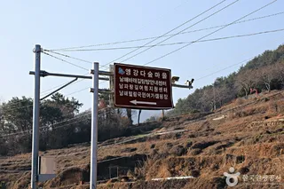 앵강다숲마을