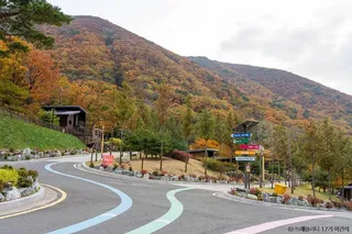 보현산자연휴양림 산림복합체험관