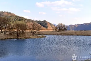 장흥댐 신풍갈대습지