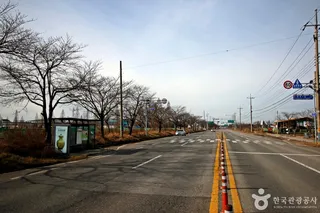 전군가도100리벚꽃길