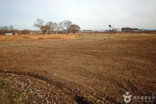 금강3공구야생초화원