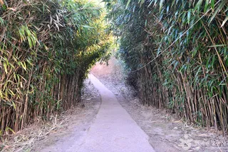 소삼도