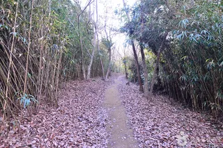 소삼도