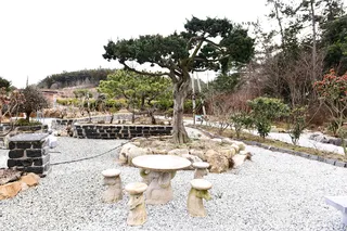 땅끝우림정원