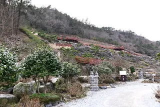 땅끝우림정원