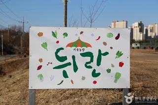 치유농장 뒤란