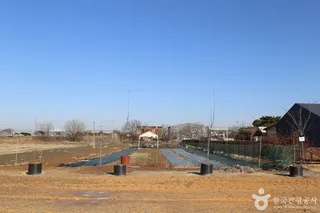 치유농장 뒤란