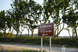 자산어보 촬영지
