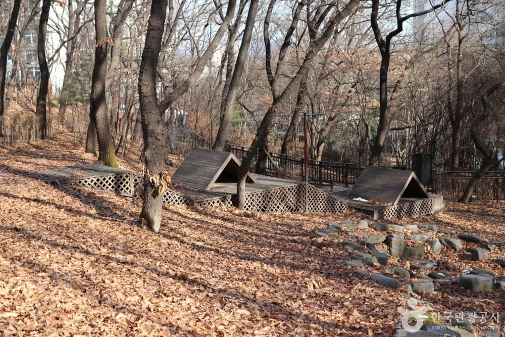 오동근린공원 유아숲체험장