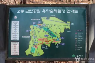 오동근린공원 유아숲체험장