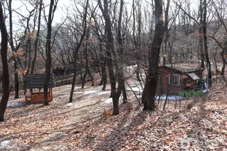 오동근린공원 유아숲체험장
