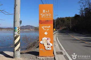 포니힐링관광농원 (힐링공유팜)