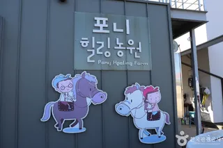 포니힐링관광농원 (힐링공유팜)
