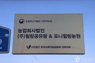 포니힐링관광농원 (힐링공유팜)