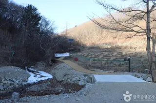 경주 왕의 길