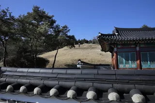 이광륜묘