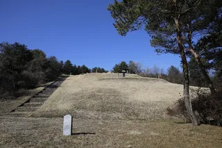 이광륜묘
