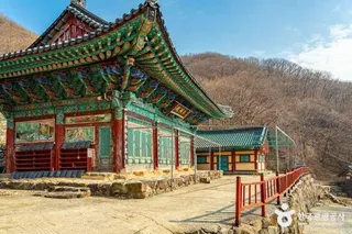 백운사(광양)