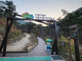 국립곡성치유의숲