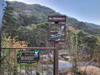국립곡성치유의숲