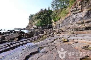 여수 낭도리 공룡발자국화석 산지
