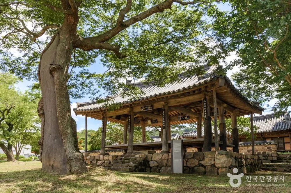 영팔정