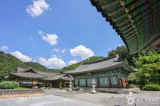 신광사(광주)