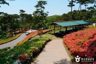 홍성솔바람테마파크