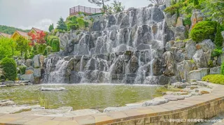 용인자작나무숲