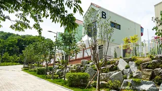 용인자작나무숲