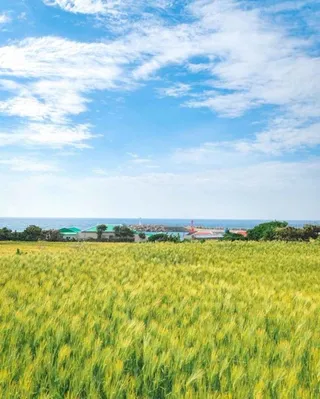 가파도 소망전망대