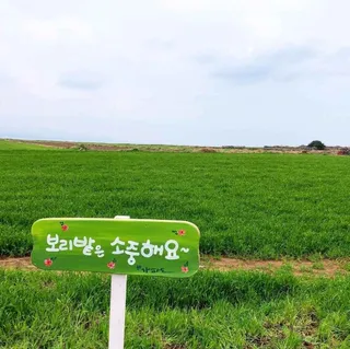 가파도 소망전망대