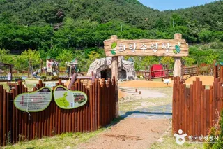 청도신화랑풍류마을 스카이트레일