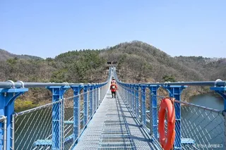 초평호 미르309 출렁다리