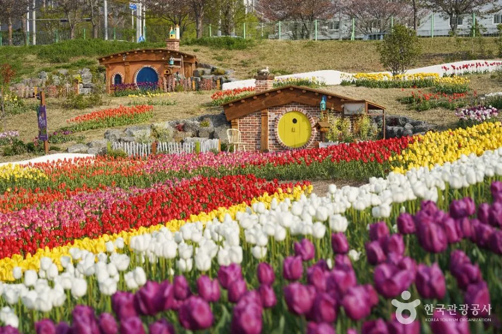 대구 세천늪테마정원