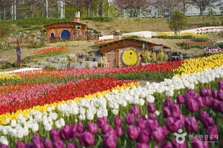 대구 세천늪테마정원