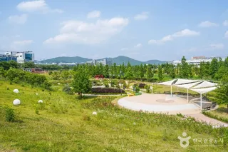 대구 세천늪테마정원