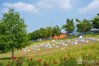 대구 세천늪테마정원