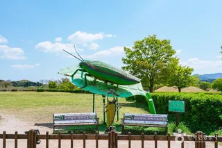 경주 비단벌레 전동차