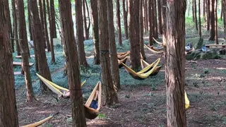 더불어숲 농업회사법인