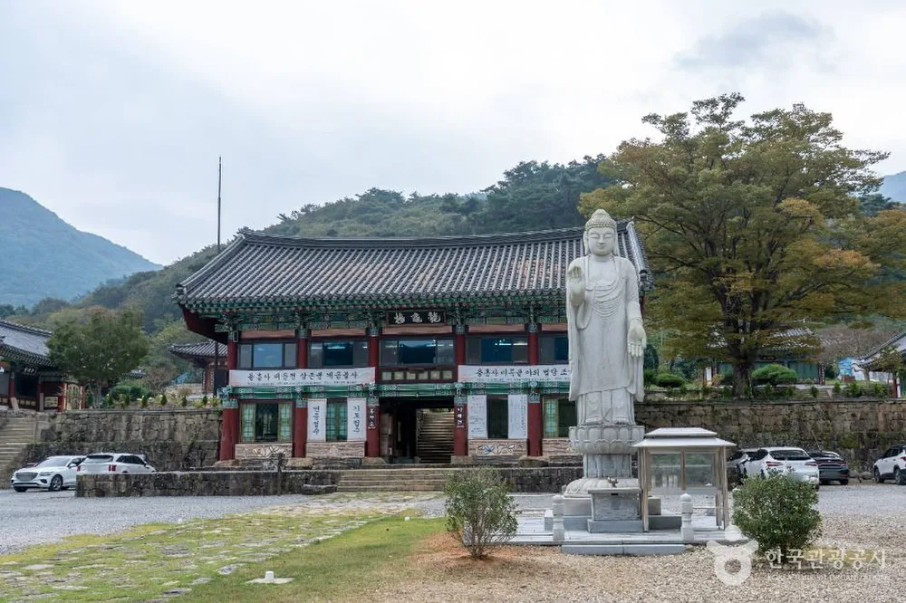 용흥사(담양)