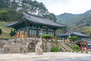 용흥사(담양)