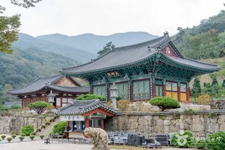 용흥사(담양)