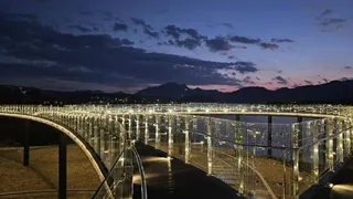 근화수변 문화광장숲