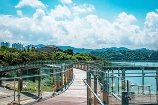 근화수변 문화광장숲
